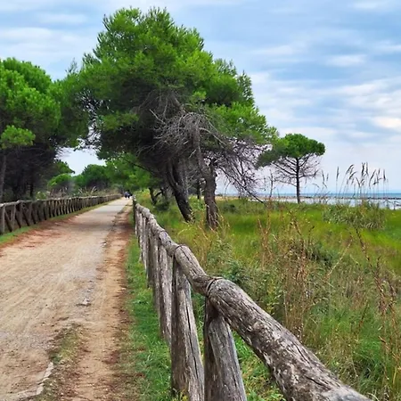 Apartment Modern Flat Near The With Pool *